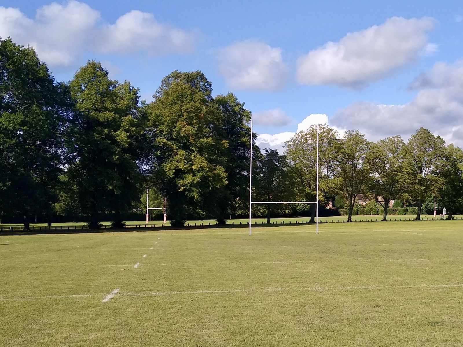Rugby pitch surrounded by trees